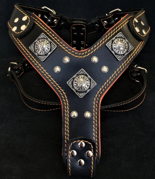 Eros Brustgeschirr schwarz-orange